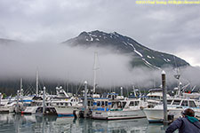 small boat harbor