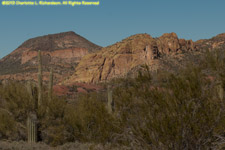 mesas and cactuses