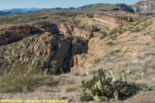 cactuses and buttes