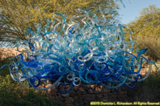 Chihuly glass