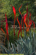 Chihuly glass