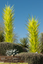 Chihuly glass