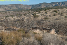 desert and ruins