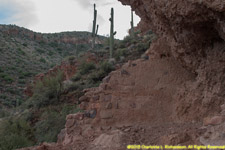 wall and cactuses