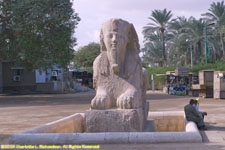 sphinx of Memphis