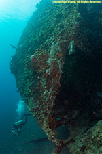 divers on wreck