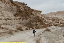 Paul in wadi