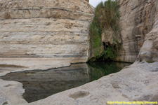 pool and waterfall