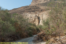 wadi