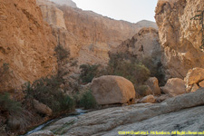 wadi