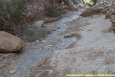 water in wadi