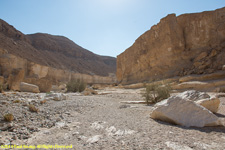 wadi