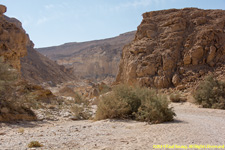 wadi