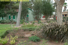 kibbutz