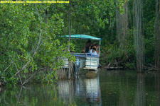 tour boat and crocodile