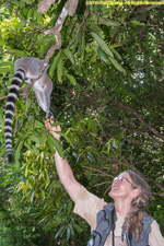 Charlotte with ringtail