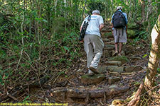 on the trail