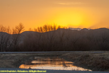 sunset over the bosque