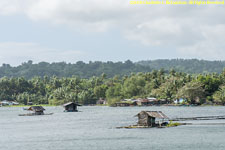 fish farms