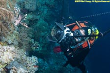 Charlotte photographing lionfish