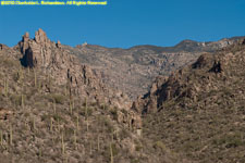 canyon wall and cactuses