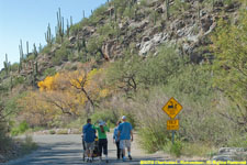 canyon hikers