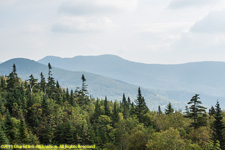 approaching treeline