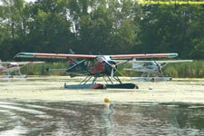 deHavilland Beaver