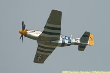 warbird