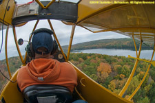 overflying the trees