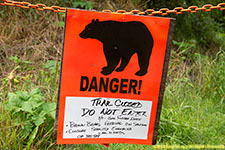 bear sign