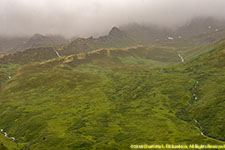 above treeline