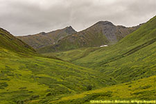 above treeline