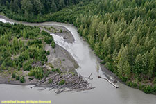 driftwood in river