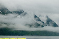 foggy mountains