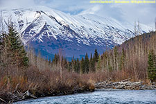 Kenai River